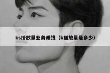 ks播放量业务赚钱（k播放量是多少）