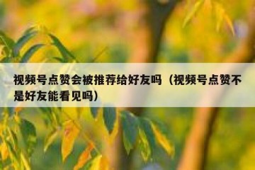 视频号点赞会被推荐给好友吗（视频号点赞不是好友能看见吗）