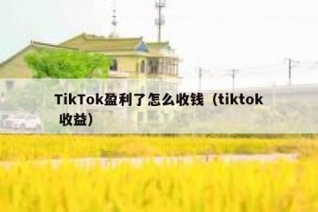 TikTok盈利了怎么收钱（tiktok 收益）