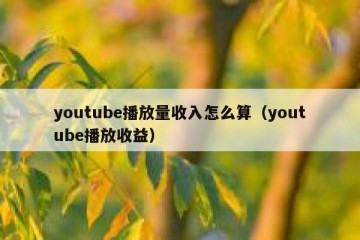 youtube播放量收入怎么算（youtube播放收益）