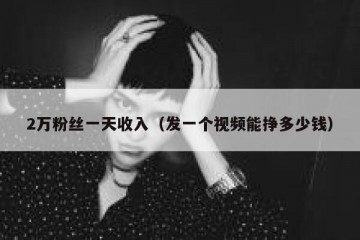 2万粉丝一天收入（发一个视频能挣多少钱）