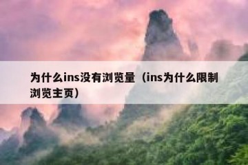 为什么ins没有浏览量（ins为什么限制浏览主页）