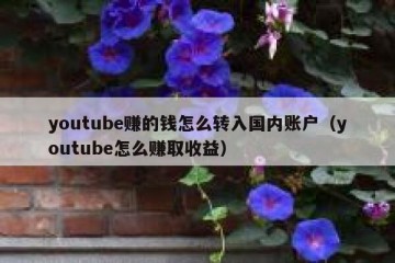 youtube赚的钱怎么转入国内账户（youtube怎么赚取收益）