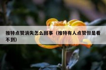 推特点赞消失怎么回事（推特有人点赞但是看不到）