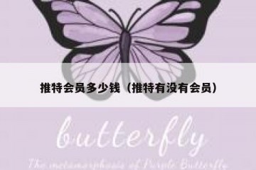 推特会员多少钱（推特有没有会员）