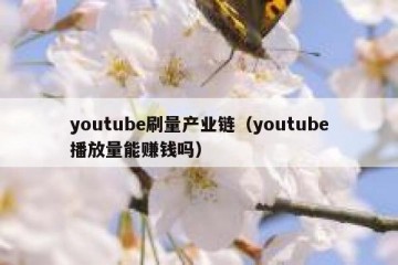 youtube刷量产业链（youtube播放量能赚钱吗）