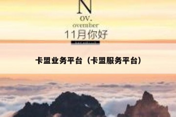 卡盟业务平台（卡盟服务平台）