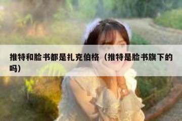 推特和脸书都是扎克伯格（推特是脸书旗下的吗）