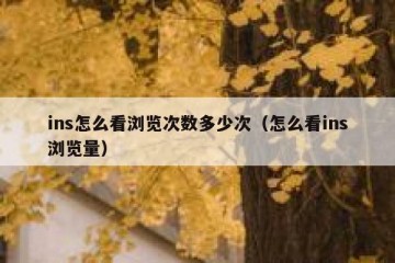 ins怎么看浏览次数多少次（怎么看ins浏览量）