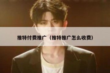 推特付费推广（推特推广怎么收费）