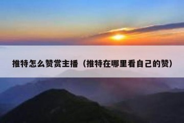 推特怎么赞赏主播（推特在哪里看自己的赞）