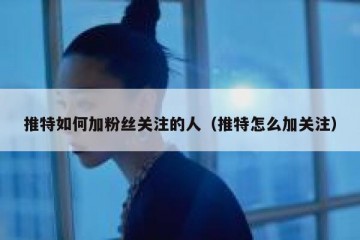 推特如何加粉丝关注的人（推特怎么加关注）
