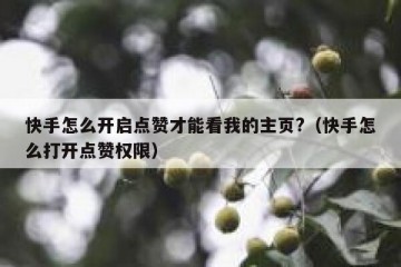 快手怎么开启点赞才能看我的主页?（快手怎么打开点赞权限）