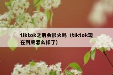 tiktok之后会很火吗（tiktok现在到底怎么样了）