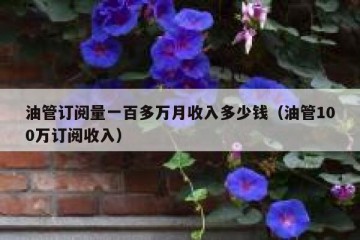 油管订阅量一百多万月收入多少钱（油管100万订阅收入）