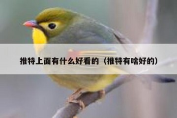 推特上面有什么好看的（推特有啥好的）