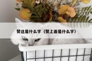 赞这是什么字（赞上面是什么字）