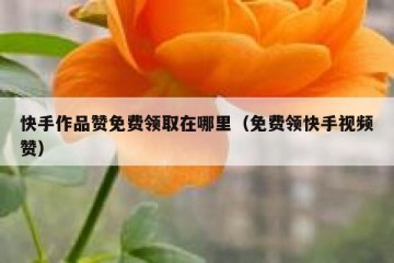 快手作品赞免费领取在哪里（免费领快手视频赞）