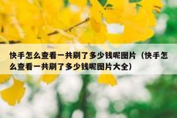 快手怎么查看一共刷了多少钱呢图片（快手怎么查看一共刷了多少钱呢图片大全）