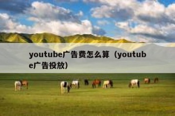youtube广告费怎么算（youtube广告投放）