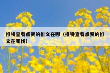 推特查看点赞的推文在哪（推特查看点赞的推文在哪找）