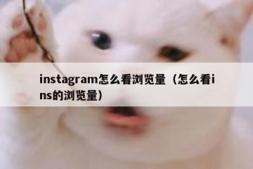 instagram怎么看浏览量（怎么看ins的浏览量）
