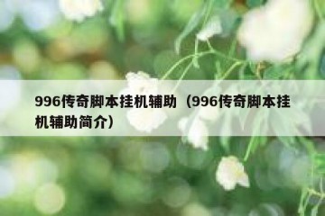 996传奇脚本挂机辅助（996传奇脚本挂机辅助简介）
