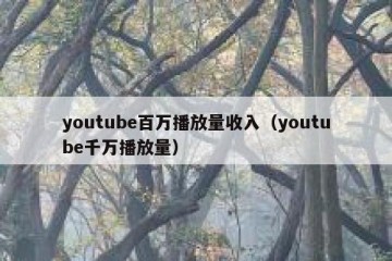 youtube百万播放量收入（youtube千万播放量）
