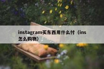 instagram买东西用什么付（ins怎么购物）