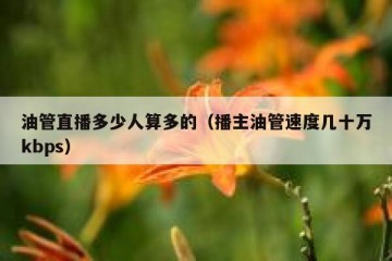 油管直播多少人算多的（播主油管速度几十万kbps）