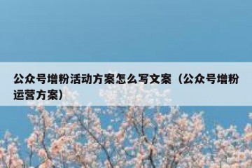公众号增粉活动方案怎么写文案（公众号增粉运营方案）