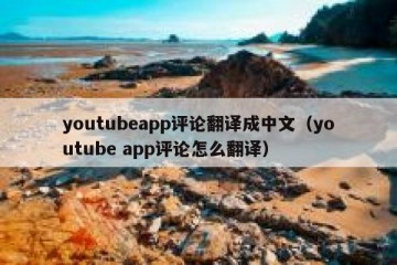 youtubeapp评论翻译成中文（youtube app评论怎么翻译）