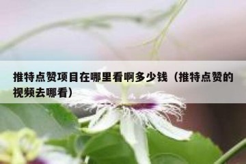 推特点赞项目在哪里看啊多少钱（推特点赞的视频去哪看）