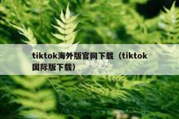 tiktok海外版官网下载（tiktok国际版下载）