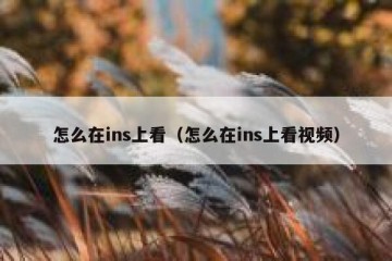 怎么在ins上看（怎么在ins上看视频）