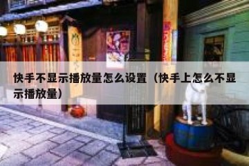 快手不显示播放量怎么设置（快手上怎么不显示播放量）