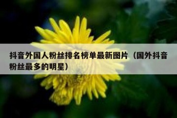 抖音外国人粉丝排名榜单最新图片（国外抖音粉丝最多的明星）