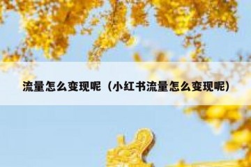 流量怎么变现呢（小红书流量怎么变现呢）