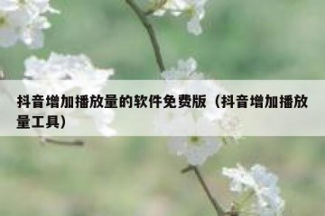 抖音增加播放量的软件免费版（抖音增加播放量工具）