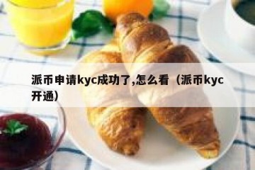 派币申请kyc成功了,怎么看（派币kyc开通）