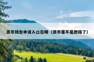 派币钱包申请入口在哪（派币是不是跑路了）