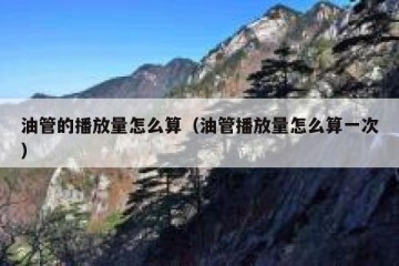 油管的播放量怎么算（油管播放量怎么算一次）