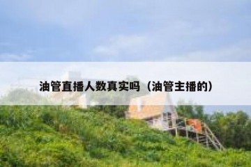 油管直播人数真实吗（油管主播的）