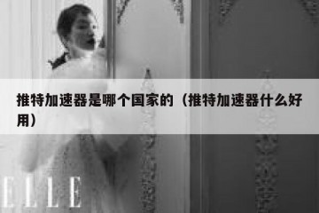 推特加速器是哪个国家的（推特加速器什么好用）