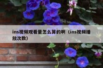 ins视频观看量怎么算的啊（ins视频播放次数）