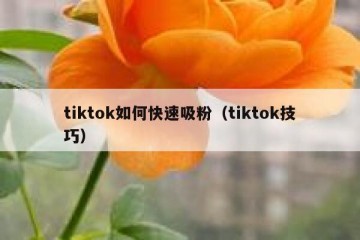 tiktok如何快速吸粉（tiktok技巧）