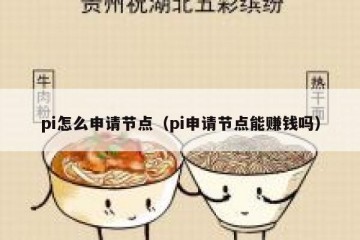 pi怎么申请节点（pi申请节点能赚钱吗）