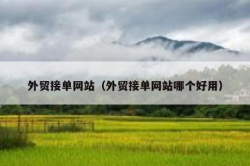 外贸接单网站（外贸接单网站哪个好用）