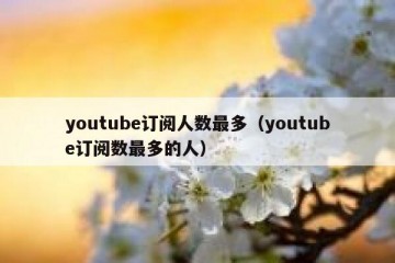 youtube订阅人数最多（youtube订阅数最多的人）