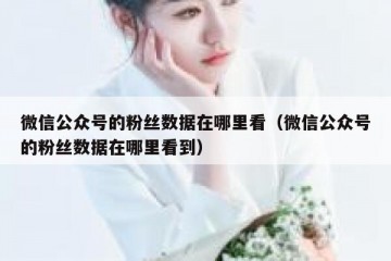 微信公众号的粉丝数据在哪里看（微信公众号的粉丝数据在哪里看到）